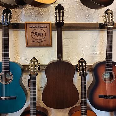 gitara çexolu: Klassik gitara Valencia VC 204 Üst:Sitka Spruce Qol: Ebonized Mahogany — 2