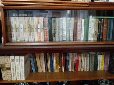 11 ədəbiyyat metodik vəsait: Cox maraqli Asarlardir. Har cure kitab var.Yaxwi vaziyattadir.Saliqali — 1