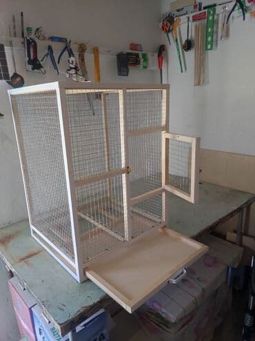 bildirçin yuvası: Papuqay,dovşan,hamster,şinşila,bildirçin,cücə,xamyak,pişik,quş,tısbağa — 1