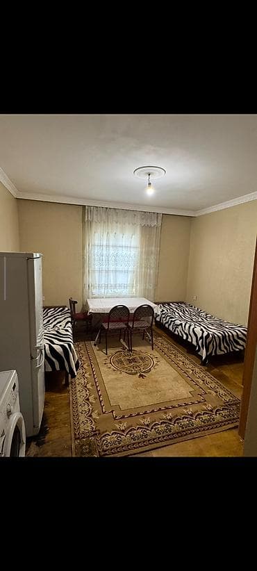 gence sadilli: Adelni bir otagli ev palataryuyani soyducu wif kombisi kamunali da — 3