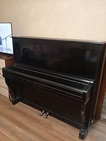 Piano, Rostov-Don, Akustik, İşlənmiş, Ünvandan götürmə — 1