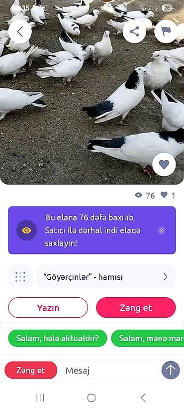 Heyvanlar üçün mallar: Bax bu paylawdigim anasi sosqani taniyun pul atdirib quw gondermir — 4