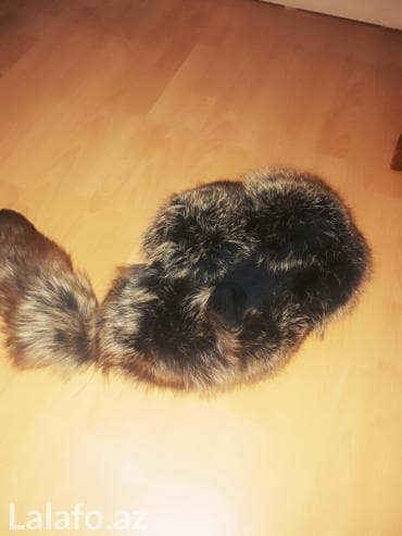 turkler kurtkaya ne deyirler: Tulku xez papag. Uzbekistandan getirilib. Cox gozeld — 3