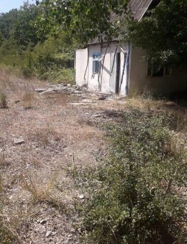 digah torpaq: 25 sot, Kənd təsərrüfatı, Makler, Kupça (Çıxarış) — 5