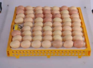 İnkubatorlar: Çin, Bütün növ quşlaq üçün, Tam avtomat, Zəmanət ilə — 6