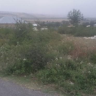 12 sot, Tikinti, Barter mümkündür, Bələdiyyə