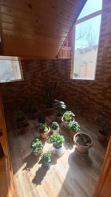 gencede heyet evler: 6 otaqlı, 180 kv. m, Kredit yoxdur, Yeni təmirli — 5