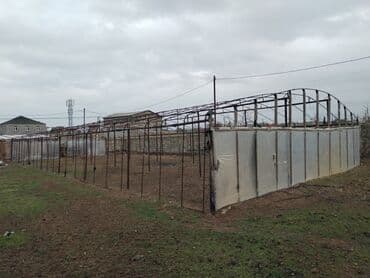 Toxumlar: Istixana satilir,uzunu 25 metr,eni 9 — 1