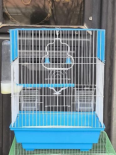 Yemlər: Quş qəfəsi – orta ölçü, ağ metal barmaqlıqlar və mavi plastik altlıq — 1