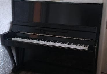 Səs avadanlığı: Pianinonun adı КУБАНЬ. İşlənmişdir, amma əla vəziyyətdədir.Təzə — 5
