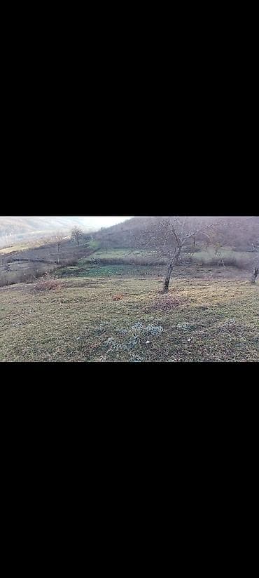 Təpəlik ərazidə yerləşən bu torpaq sahəsi kənd təsərrüfatı və ya — 1