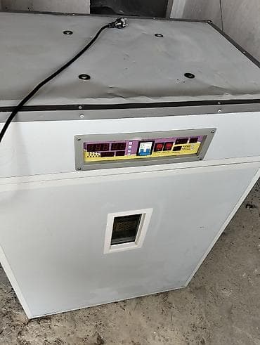 Аренда оборудования: 1500 яиц, Полностью автоматическая — 6