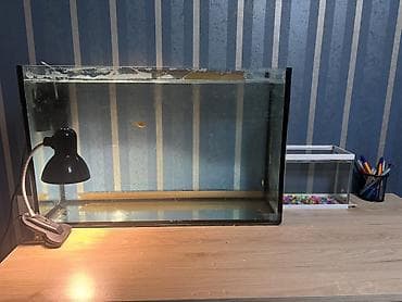 akvaryum satış: Böyük 80lt
Kiçik 6lt

Hər ikisi də satılır — 5