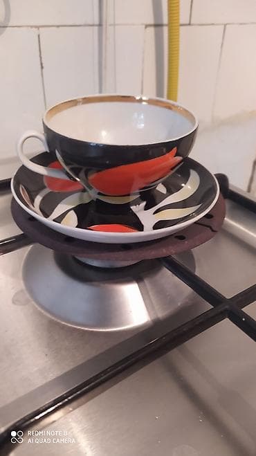 Комнатные растения: Стаканы — 3