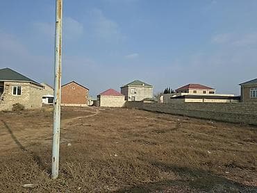 Tikinti