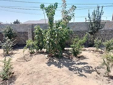 ismayıllı günlük ev: Digah, 80 kv. m, 4 otaqlı, Hovuzsuz, Qaz, İşıq, Kanalizasiya — 8