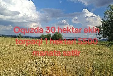 gence ev qiymetleri: 3000 sot, Kənd təsərrüfatı — 1