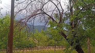 4 otaqlı ev: 4 otaqlı, 120 kv. m, Yeni təmirli — 5