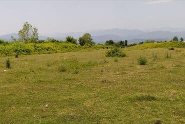 купить квартиру в ленкоране: 75 sot, Biznes üçün, Mülkiyyətçi, Kupça (Çıxarış) — 5