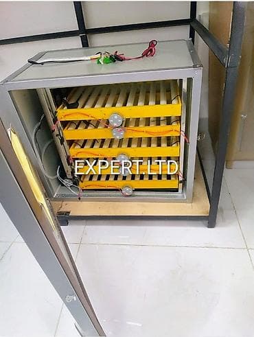 300 yumurta, Çin, Tam avtomat, Bütün növ quşlaq üçün, Zəmanət ilə