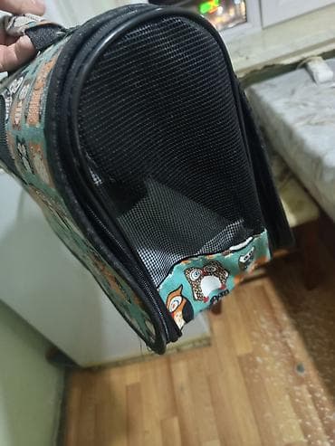 boyunlug: Pişik üçün sunka — 3