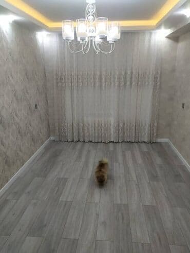 sumqayitda teze tikilen binalar: 2 otaqlı, Yeni tikili, 42 kv. m — 5