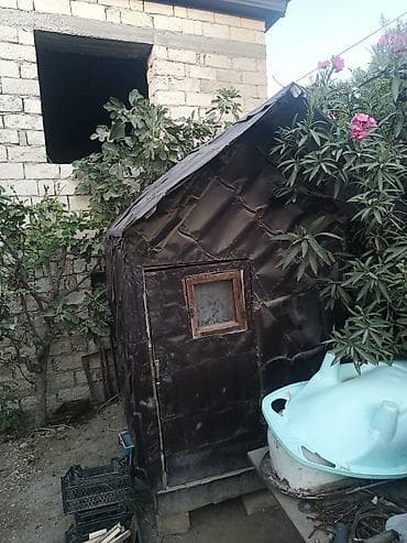 Akvariumlar: El dami ve ya goyersin dami kimife istifade etmek olar — 1