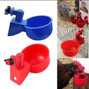pişik su qabı: Yem qabı, Su üçün, Quşlar üçün, Rayonlara çatdırılma, Ünvandan götürmə, Ödənişli çatdırılma — 2