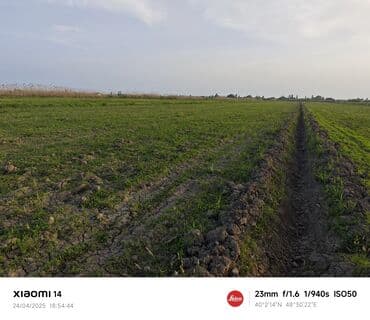 сабирабад: 403 соток, Для сельского хозяйства, Купчая — 3