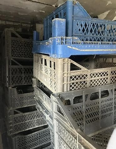 Konteynerlər: Plastik yığım və daşınma yeşikləri - Material: möhkəm plastik - Tip — 2