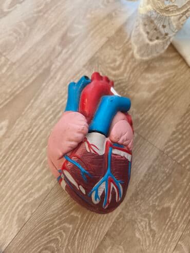 Güzgülər: Fiqur, Plastik — 2