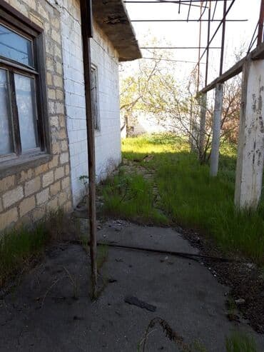 lacın ev: Digah 4 otaqlı, 320 kv. m, Təmirsiz — 5