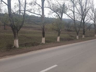 xacmazda torpaq qiymetleri: 24 sot, Mülkiyyətçi, Kupça (Çıxarış) — 1