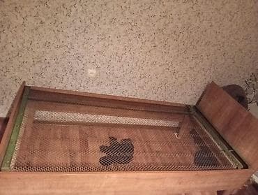 şkaflar ucuz: İşlənmiş, Təknəfərlik çarpayı, Bazasız, Matrassız, Siyirməsiz — 2