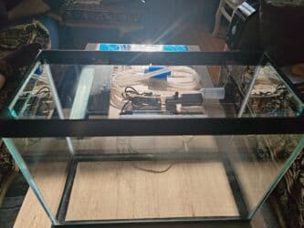 canlı yem: Şüşə akvarium komplekti - Ölçü: 45×20 sm (dikdörtgen forma, geniş ön — 7