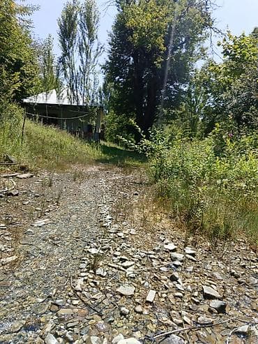 ecemı kıraye evler: 80 kv. m, 3 otaqlı, Hovuzsuz, Su — 2