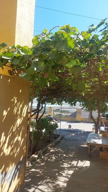 günəşlidə ev: Köhnə Günəşli 3 otaqlı, 100 kv. m, Kredit yoxdur, Yeni təmirli — 4