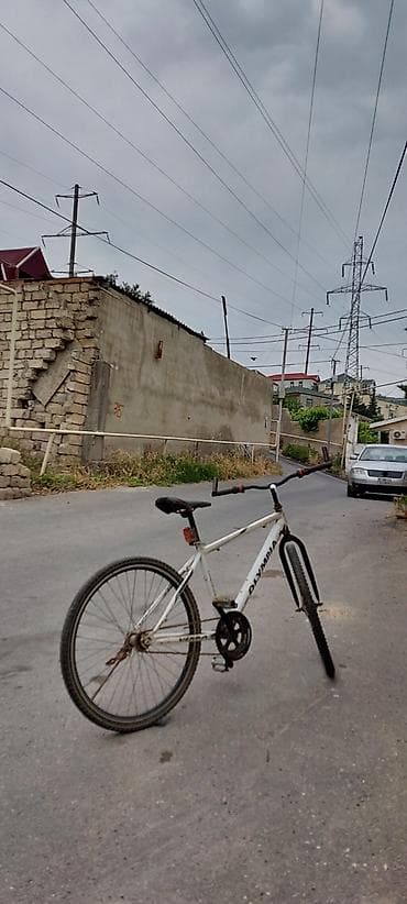 Şəhər velosipedləri: Məhsul: Olympia “Verba” şəhər/trek velosipedi - Çərçivə: polad — 1