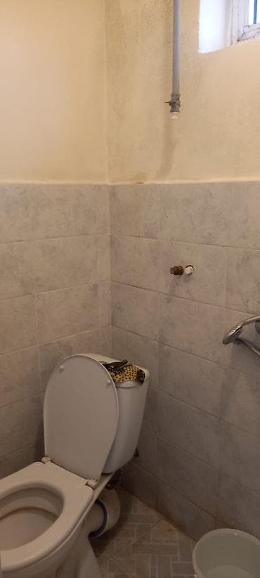 Kirayə üçün 1 otaqlı sadə yaşayış sahəsi - Plan: 1 otaq + mətbəx