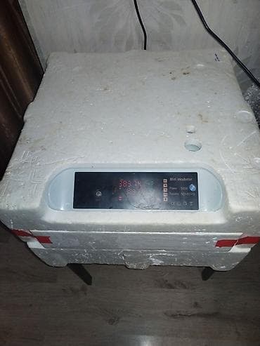 Soyuducu avadanlığı: Mini İnkubator – avtomatik yumurta çıxardıcı - Model üzərində “Mini — 3
