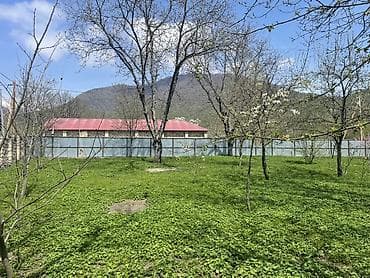 torpaqların satışı: 10 sot, Biznes üçün, Mülkiyyətçi, Kupça (Çıxarış) — 3