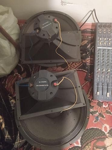 PA akustik sistemi üçün komponentlər dəsti - 2 ədəd böyük diametrli