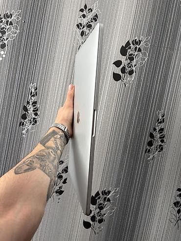12 pro max plata: MacBook Pro A1707 — 16GB / 256GB SSD / Touch Bar 💻 MacBook Pro A1707 — 5