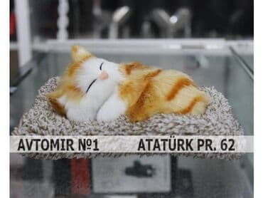 led isiqlar tavan ucun: Dekorativ panel ortuyu pisik 🚙🚒 ünvana və bölgələrə ödənişli — 1