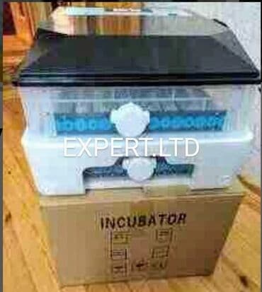 geref quşu: EXPERT şirkətinin rəsmi istehsal smart-rejimli inkubatorlar satılır — 29