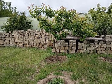 torpaqlarin satisi: 5 sot, Kənd təsərrüfatı, Mülkiyyətçi, Kupça (Çıxarış) — 4