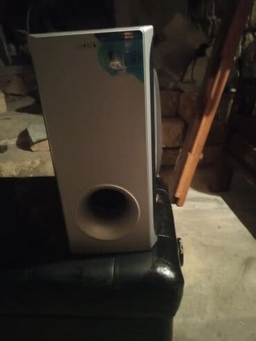 Yeni Sony Kolonka, Növ - Sabvufer, rəng - Gümüşü