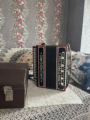 Гармонь, Акустический — 1