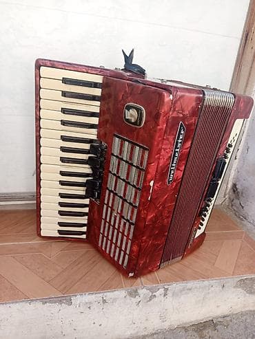 gitara akustik: Akustik Akkordeon, İşlənmiş — 2