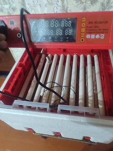 yumuru: Fabrik istehsalı, Bütün növ quşlaq üçün, Azərbaycan dilində təlimat — 3